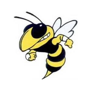 Temporary Tattoos (tm) - Stock, Non Toxic, Hypoallergenic, 2" X 2" Bumble Bee Tattoo Is Fda Certified