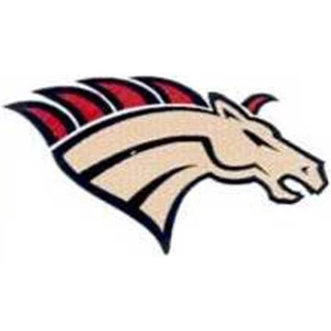Temporary Tattoos (tm) - Stock, Non Toxic, Hypoallergenic 2" X 2" Horse Head Tattoo Is Fda Certified