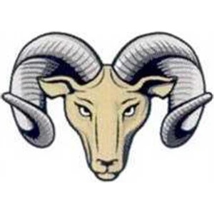 Temporary Tattoos (tm) - Stock, Non Toxic, Hypoallergenic 2" X 2" Ram Head Tattoo Is Fda Certified