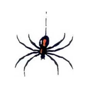 Temporary Tattoos (tm) - Stock, Non Toxic, Hypoallergenic 2" X 2" Spider Tattoo, Fda Certified