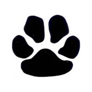 Temporary Tattoos (tm) - Stock, Non Toxic, Hypoallergenic 2" X 2" Black Paw Print Tattoo Is Fda Certified