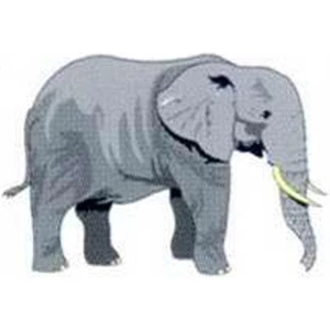 Temporary Tattoos (tm) - Stock, Non Toxic, Hypoallergenic 2" X 2" Elephant Tattoo Is Fda Certified
