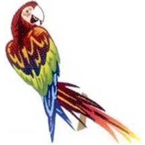 Temporary Tattoos (tm) - Stock, Non Toxic, Hypoallergenic 2" X 2" Parrot Tattoo Is Fda Certified
