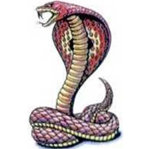 Temporary Tattoos (tm) - Stock, Non Toxic, Hypoallergenic 2" X 2" King Cobra Tattoo Is Fda Certified