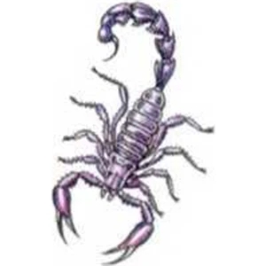 Temporary Tattoos (tm) - Stock, Non Toxic, Hypoallergenic 2" X 2" Scorpion Tattoo Is Fda Certified