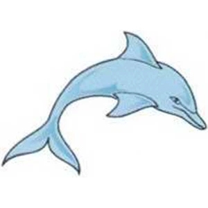 Temporary Tattoos (tm) - Stock, Non Toxic, Hypoallergenic 2" X 2" Dolphin Tattoo Is Fda Certified