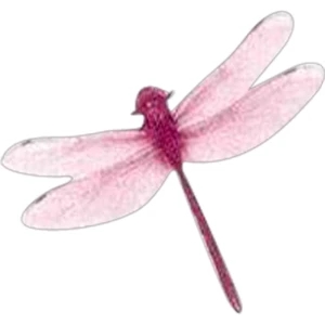 Temporary Tattoos (tm) - Stock, Non Toxic, Hypoallergenic, 2" X 2" Dragonfly Tattoo