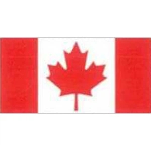 Temporary Tattoos (tm) - Stock, Non Toxic, Hypoallergenic, 2" X 2" Canadian Flag Tattoo