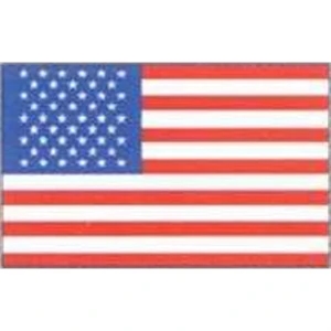 Temporary Tattoos (tm) - Stock, Non Toxic, Hypoallergenic, 2" X 2" American Flag Tattoo