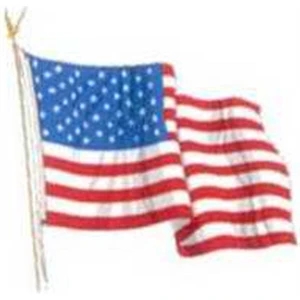 Temporary Tattoos (tm) - Stock, Non Toxic, Hypoallergenic, Waving American Flag Tattoo Is Fda Certified