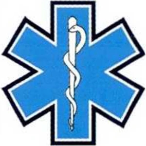 Temporary Tattoos (tm) - Stock, Non Toxic, Hypoallergenic, Medical Symbol - Snake Around Staff Tattoo