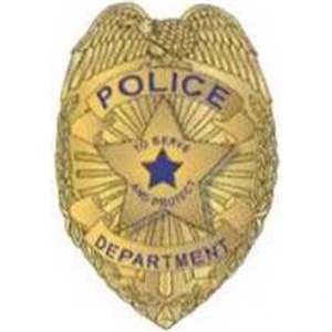 Temporary Tattoos (tm) - Stock, Non Toxic, Hypoallergenic, 2" X 2" Police Badge Tattoo Is Fda Certified