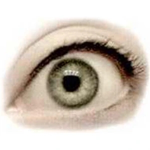 Temporary Tattoos (tm) - Stock, Non Toxic, Hypoallergenic 2" X 2" Eye Tattoo Is Fda Certified