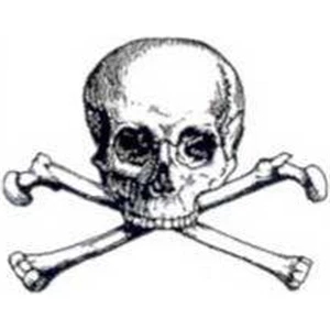 Temporary Tattoos (tm) - Stock, Non Toxic, Hypoallergenic Large Skull And Bones Tattoo Is Fda Certified