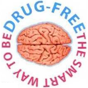 Temporary Tattoos (tm) - Stock, Non Toxic, Hypoallergenic 2" X 2" Drug Free Tattoo Is Fda Certified