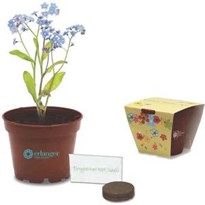 Sprout Tyme - Wee Kit - Planter Kit With Plastic Planter, Seeds, Soil Disks And Instructions
