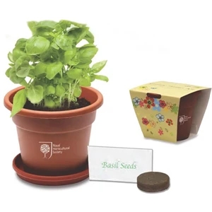 Sprout Tyme - Grande Kit - Planter Kit With Plastic Planter, Seeds, Soil Disks And Instructions