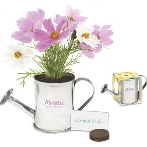 Sprout Tyme - Metal Watering Can Planter Kit With Soil Disk, Seeds And Instructions