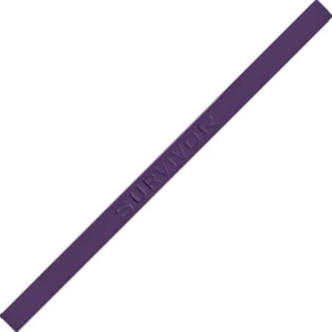 Domestic Violence, Alzhelmer's, Animal Abuse, Chrohn's And Colitis - Survivor Wristband