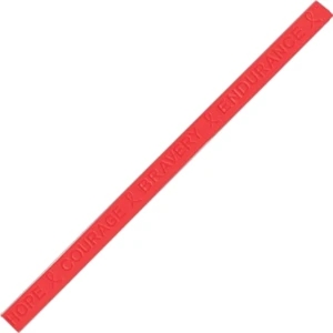 Aids/hiv, Dui Awareness, Dare, Madd And Heart Disease - Hope Courage Bravery Endurance Wristband