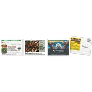Floral Seeded Postcard With Standard Planting Instructions At The Bottom