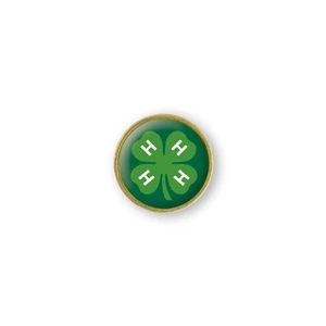 Solid Brass Lapel Pins With Military Clutch Back And Polyurethane Dome, 3/4"