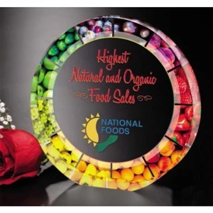 Elite Circle Illumachrome (tm) Gallery - 4" X 1" - Optical Crystal Circle Shape Award
