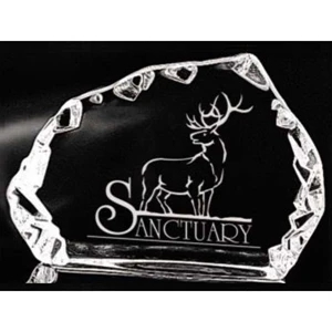 Distinctive Gift Gallery - Horizontal Carved Iceberg Optical Crystal Award