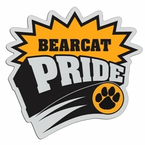 Pride - Lightweight Plastic Sports Badge With Safety Pin Or Magnet Backing