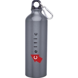 H2go (r) Classic - Graphite - 24 Oz Aluminum Single Wall Water Bottle With Threaded Lid, Carabiner Included
