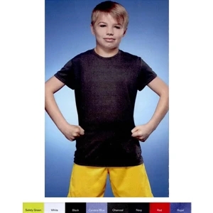 Gildan (r) - Colors - Performance Short Sleeve Youth T-shirt With Aqua F X (r) Wicking Properties. Blank
