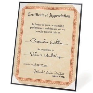 Premier - Certificate Frame, Includes Moire Ribbon Corners & Acetate Protectors. Blank Only