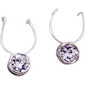 Eevah Round Radiant - A Crystal Rhinestone Shimmers From A Sterling Silver Filled Ear Wire