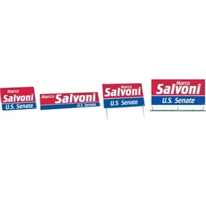 One Color - Political Campaign Kit With Lapel Stickers, Bumper Stickers, And Signs