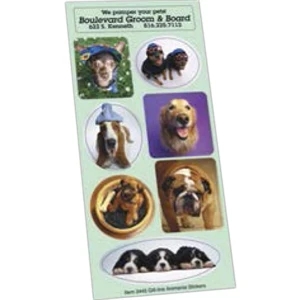 Animania - White Gloss Paper Sticker Sheet Collection With Permanent Adhesive