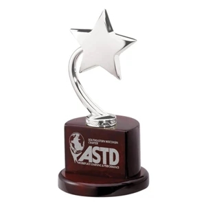 Silver High Flying Star Mounted On Wood Base. Brass Plate For Imprinting Included