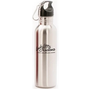 Ice-lite - 25 Oz. Stainless Steel Bottle With Metal Carabiner, Bpa Free, Recyclable