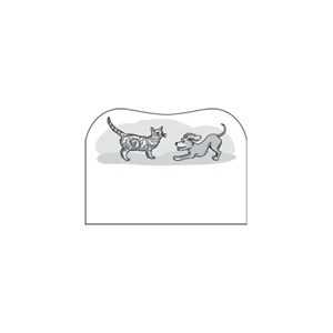 Full Color Process - Cat And Dog Design - Creative Top Flexible Magnet With Indented Top