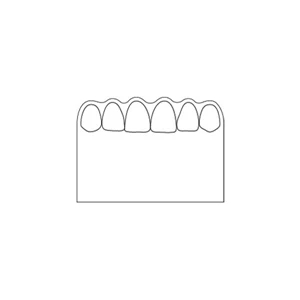 Full Color Process - Teeth Design - Creative Top Flexible Magnet With Scalloped Top