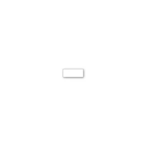 1" X 2 1/2" - Magnets For Labeling Metal Shelves And File Cabinets. Blank