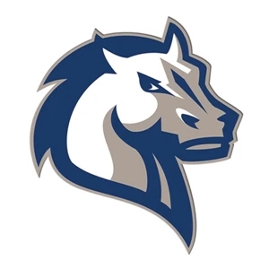 Horse Hand Fan Without Stick