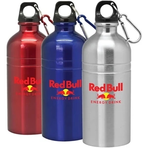 Saratoga - 20 Oz Stainless Steel Sports Bottle. Bike Style. Leak Proof Lid With Carabiner Clip