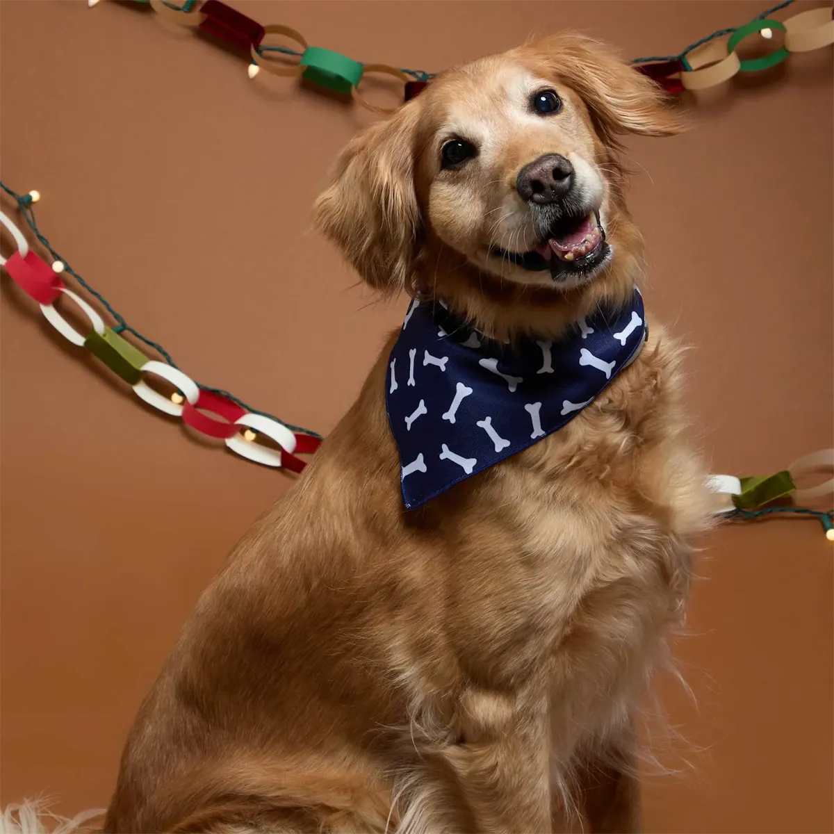 Paws & Claws Pet Bandana