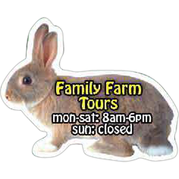 Rabbit Magnet