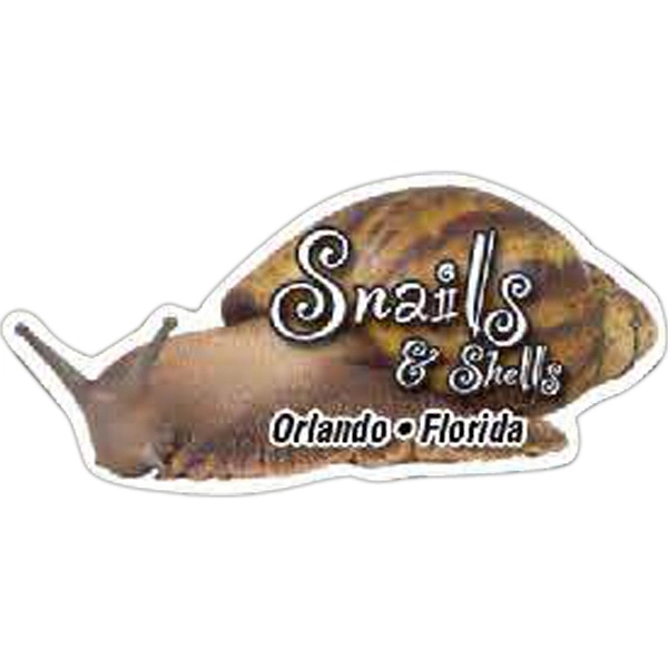 Snail Magnet
