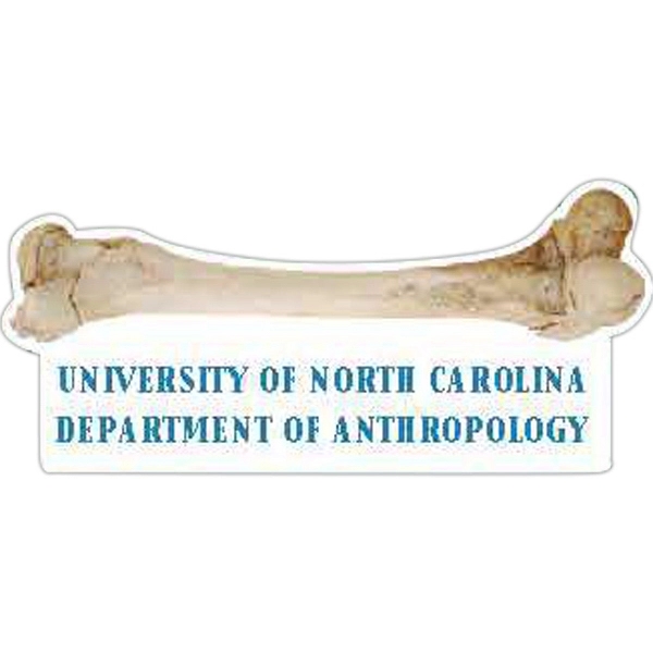 Human Bone Magnet