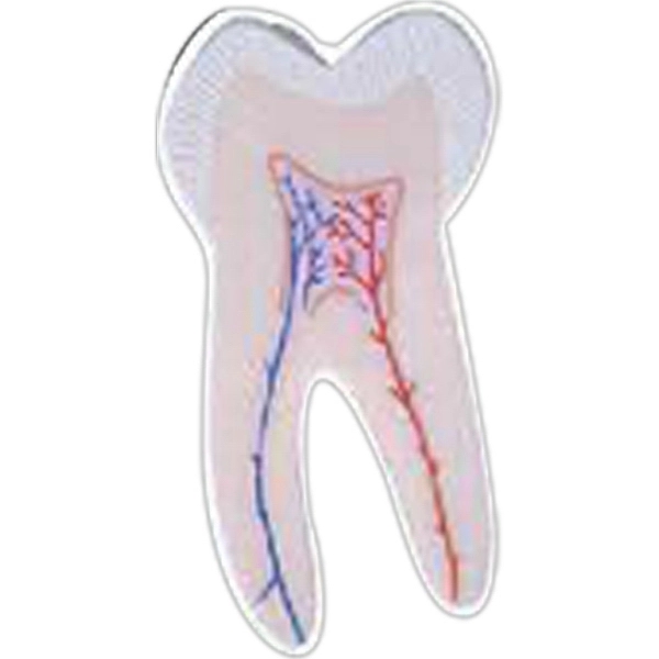 Tooth Magnet