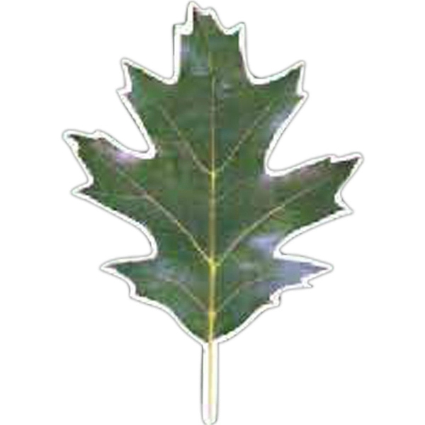Leaf Magnet