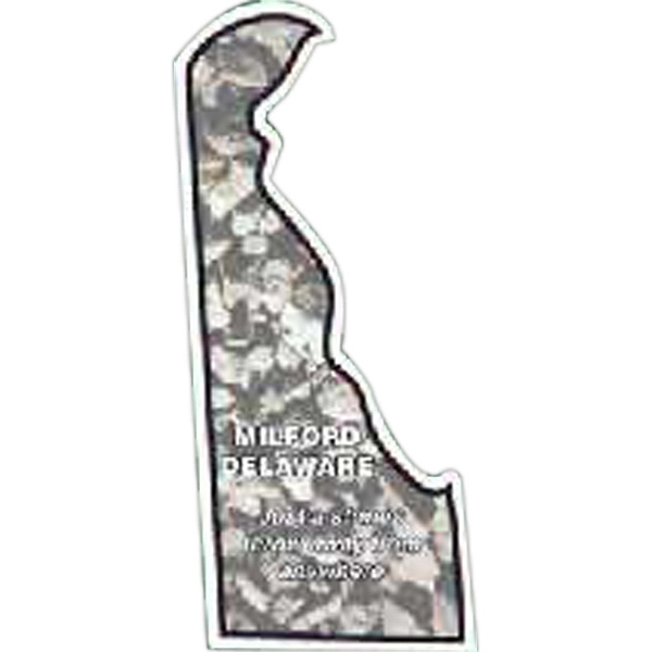 Delaware Magnet