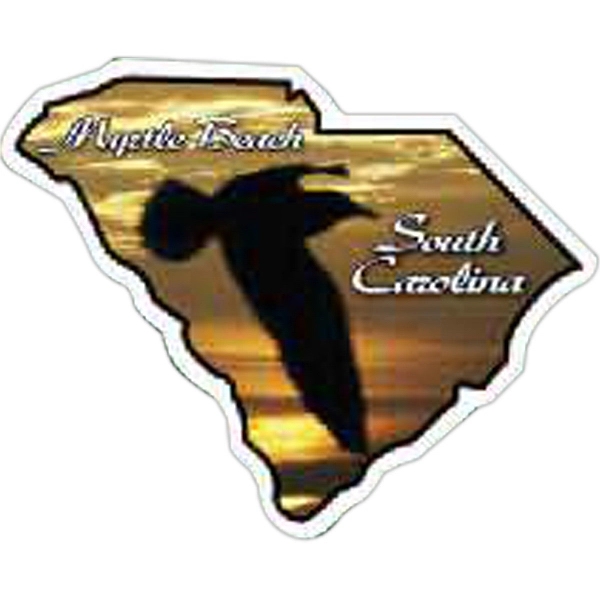 South Carolina Magnet